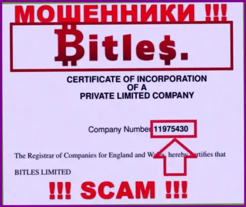 Регистрационный номер internet ворюг Bitles Eu, с которыми слишком опасно иметь дело - 11975430
