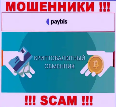 Крипто обменник - это тип деятельности незаконно действующей конторы PayBis