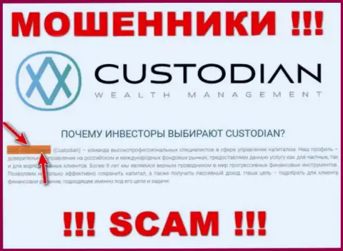 Юридическим лицом, владеющим internet-мошенниками Custodian, является ООО Кастодиан
