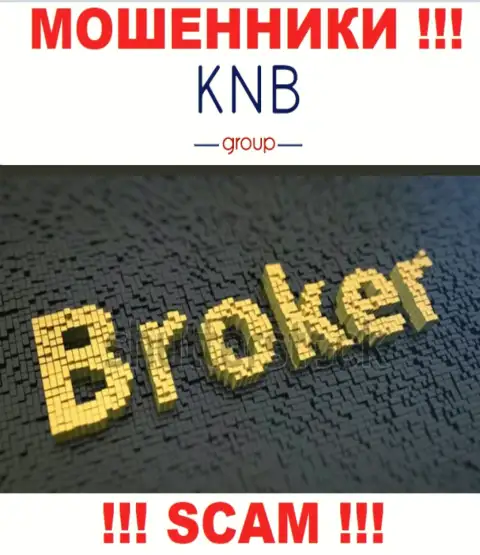 Сфера деятельности неправомерно действующей организации KNB-Group Net - это Брокер