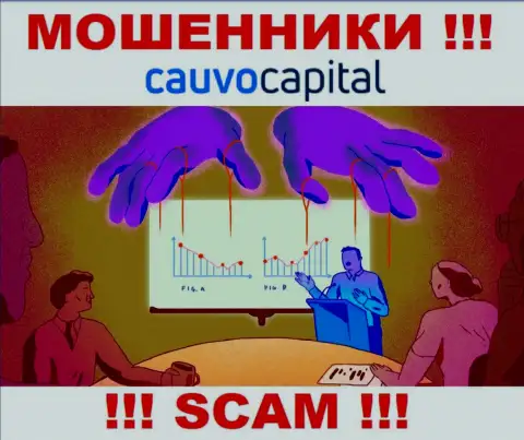 Слишком рискованно соглашаться работать с internet мошенниками CauvoCapital Com, крадут финансовые активы