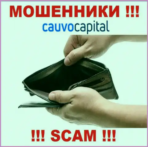 Cauvo Capital - это internet-мошенники, можете потерять абсолютно все свои финансовые средства