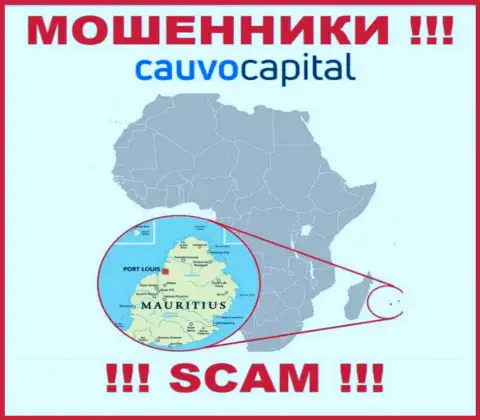 Компания Cauvo Capital похищает вложенные денежные средства лохов, расположившись в оффшорной зоне - Mauritius