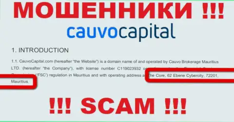 Нереально забрать вложенные деньги у компании Cauvo Capital - они отсиживаются в оффшоре по адресу Коре, 62 Эбене Киберсити, 72201, Маврикий