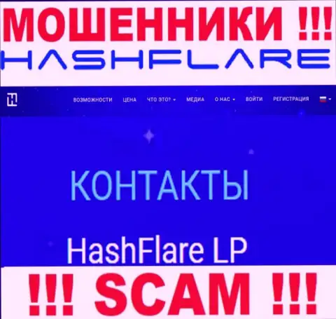 Сведения об юридическом лице internet-мошенников HashFlare