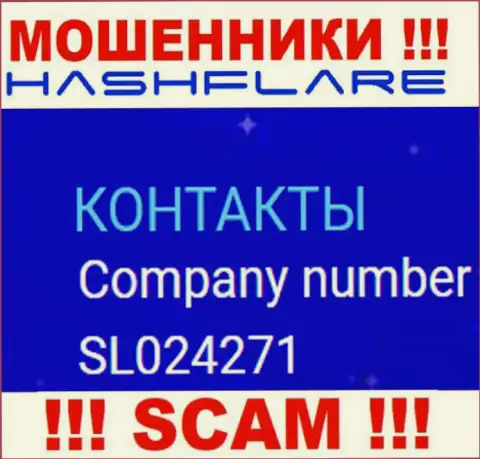 Номер регистрации, под которым официально зарегистрирована контора ХэшФлэр ЛП: SL024271