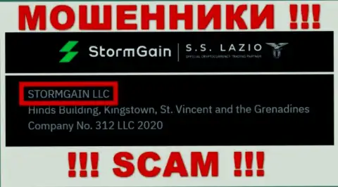 Сведения о юр лице ШтормГейн - им является контора STORMGAIN LLC