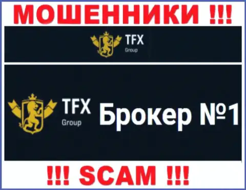 Не нужно доверять финансовые вложения TFX Group, потому что их сфера деятельности, Форекс, развод