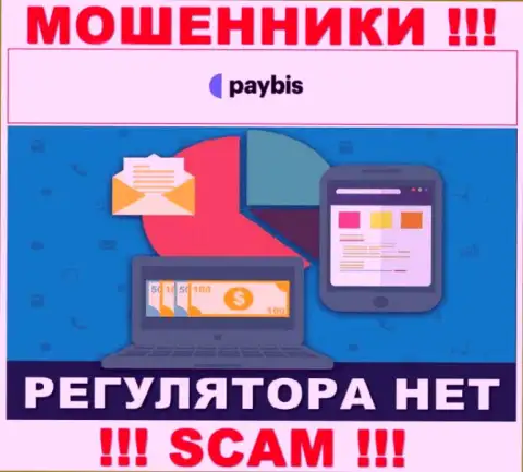У PayBis Com на web-ресурсе нет сведений об регуляторе и лицензионном документе конторы, а значит их вовсе нет
