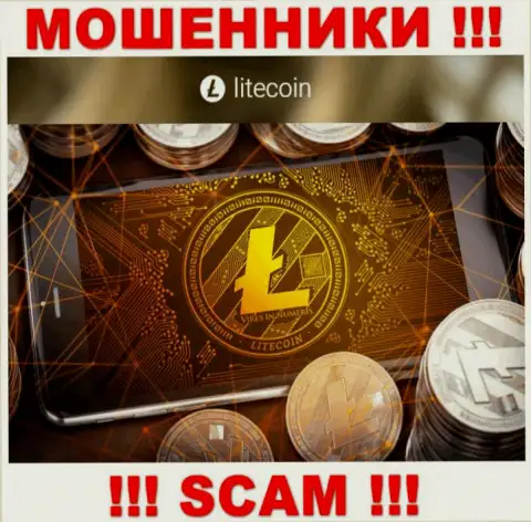 Взаимодействовать с LiteCoin крайне рискованно, поскольку их сфера деятельности Криптовалютный сервис - это развод