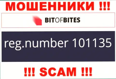 Рег. номер компании BitOfBites Com, который они разместили у себя на web-ресурсе: 101135