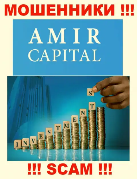 Не переводите денежные активы в Амир Капитал, род деятельности которых - Инвестирование