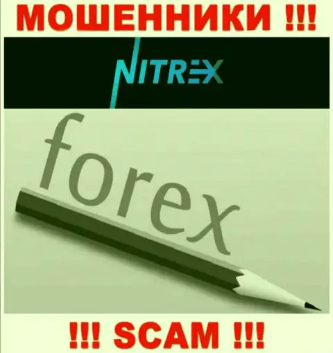 Не отдавайте денежные активы в Нитрекс, направление деятельности которых - Форекс