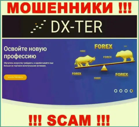 С организацией ДИксТер совместно работать крайне опасно, их сфера деятельности Forex - это капкан