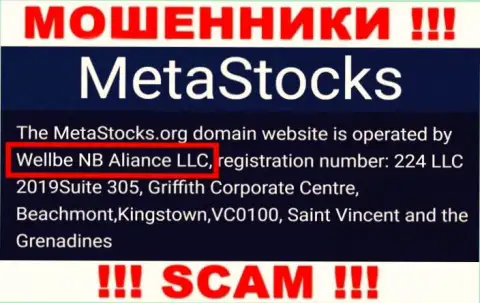 Юр лицо компании MetaStocks - это Wellbe NB Aliance LLC, информация взята с официального информационного сервиса
