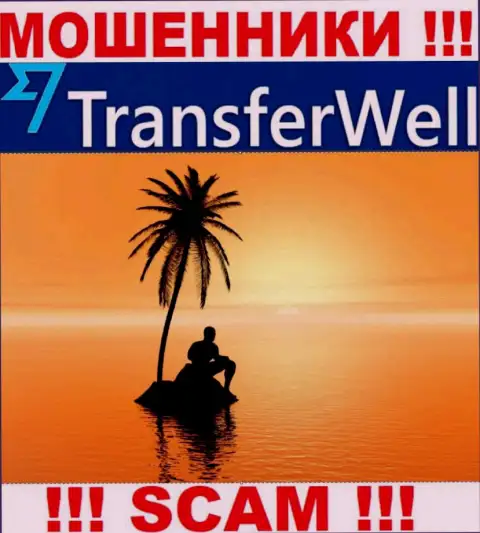 Юрисдикция TransferWell Net спрятана, посему перед вложением средств следует подумать сто раз