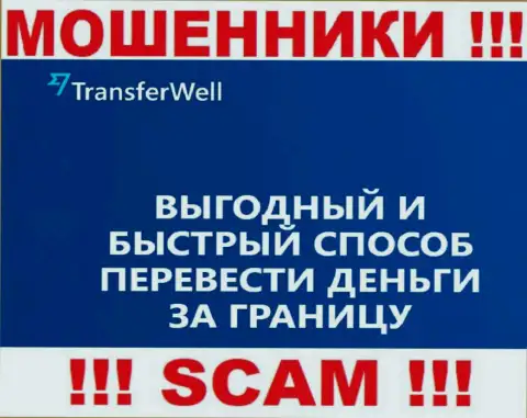 Не верьте, что деятельность TransferWell Net в направлении Платежная система законна