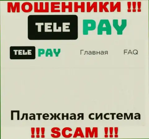 Основная деятельность Tele Pay - это Платежная система, будьте очень внимательны, работают неправомерно