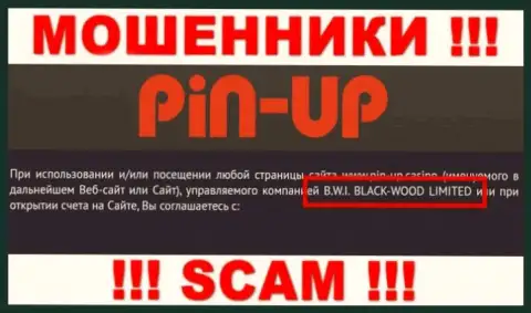 Мошенники Pin Up Casino принадлежат юридическому лицу - B.W.I. BLACK-WOOD LIMITED