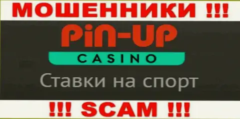 Основная деятельность Pin Up Casino - Казино, будьте очень бдительны, прокручивают делишки противоправно