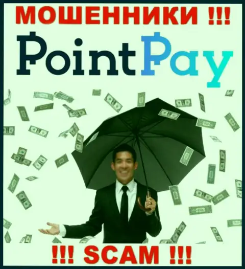 Не попадитесь на удочку интернет мошенников PointPay, вложенные деньги не увидите
