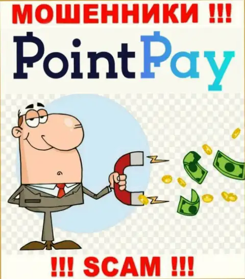 Point Pay LLC вложенные денежные средства не отдают обратно, никакие налоги не помогут