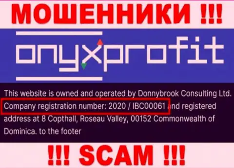 Номер регистрации, который принадлежит конторе Onyx Profit - 2020 / IBC00061