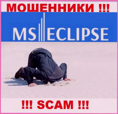 С MS Eclipse слишком опасно сотрудничать, потому что у организации нет лицензии и регулирующего органа