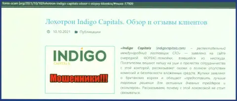 Обзор Indigo Capitals, реальные случаи кидалова