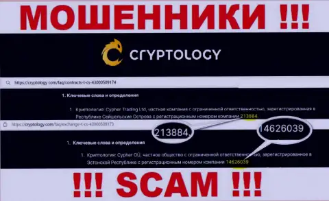 Cryptology Com оказалось имеют регистрационный номер - 213884
