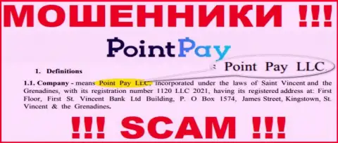 Point Pay LLC - это компания, которая управляет internet-мошенниками Point Pay
