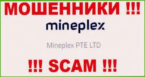 Руководством Mine Plex оказалась компания - Mineplex PTE LTD
