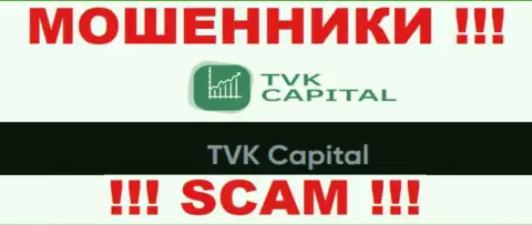 TVK Capital - это юр лицо мошенников TVK Capital