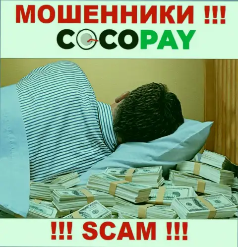 Вы не вернете деньги, вложенные в организацию Coco-Pay Com - это интернет-мошенники !!! У них нет регулятора
