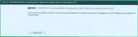 Дилинговая фирма CauvoCapital описана в комментарии на сайте Ревокон Ру