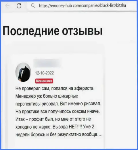 Мнение реального клиента, вложения которого застряли в карманах Bitzha - это МОШЕННИКИ !!!