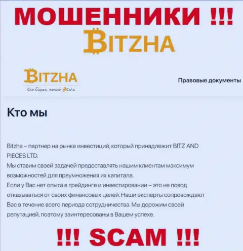 Bitzha24 Com - это настоящие мошенники, сфера деятельности которых - Инвестиции