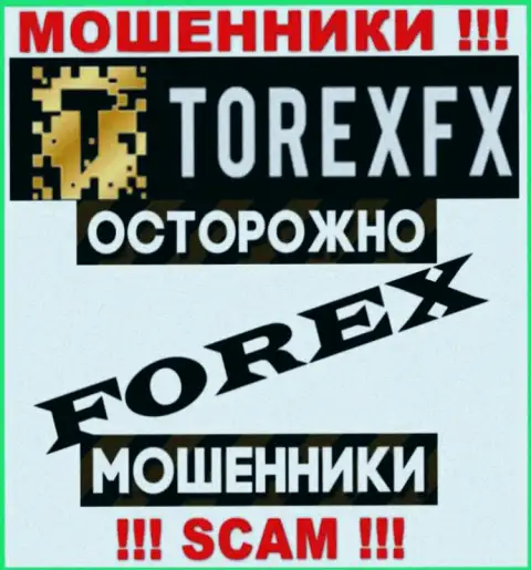 Область деятельности TorexFX Com: Forex - отличный доход для интернет ворюг